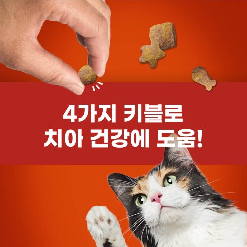 추가이미지3