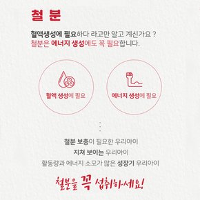 더데이 초등학생 어린이 철분제 비타민C 우리아이 맛있는 튼튼철분  어린이엽산보충(60포)