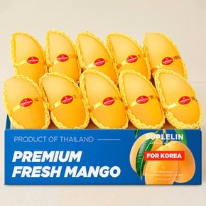[수플린] 항공직송 달콤한 태국 남독마이 골드망고 4kg (8~14입/로얄과)
