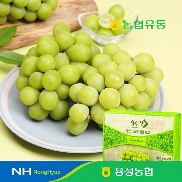 확대된 대표 대표이미지