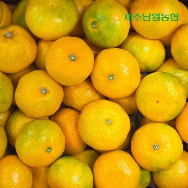 확대된 대표 이미지 P