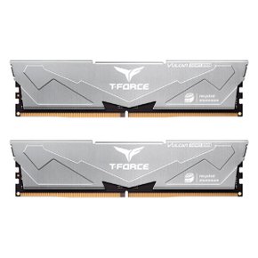 팀그룹 T-Force DDR5-6000 32GB CL38 Vulcan ECO 패키지 메모리 (16Gx2) 서린