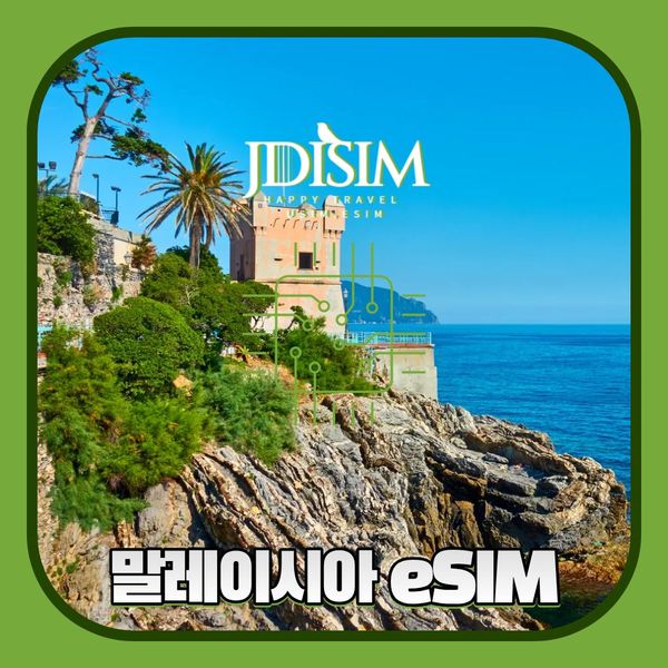 확대된 대표 메인이미지