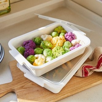 올유리빙 냉동실 냉장고 정리 보관 용기 플라스틱 직사각 바트 밧드 야채 채소 김밥 대 2개
