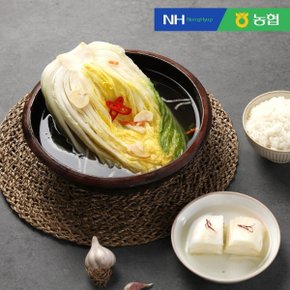 농협 풍산김치 맛김치 500g x 2봉 (썰은김치)_24142826