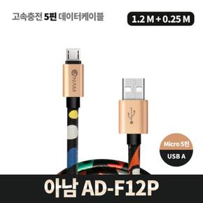 아남 AD-F12P (S8636356)