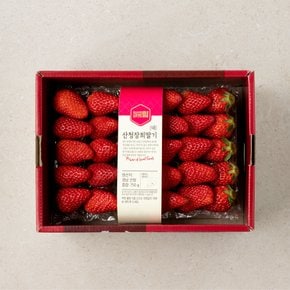 [국산의 힘] 산청 장희 딸기 750g/팩 (대)