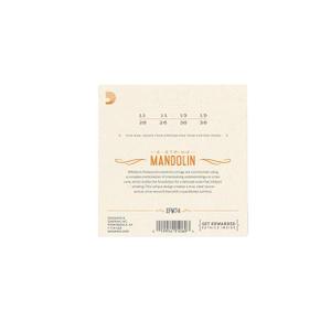 DADDARIO 다다리오 EFW74 Mandolin Flat Wound, Medium, 11-36 만돌린 현