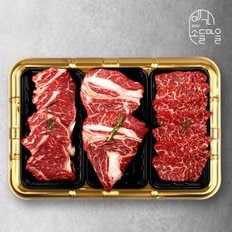 [냉장][예가소들마을] 한우 1등급 채반구이세트 2호 1.2kg (등심500g+채끝300g+특수부위400g)