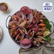 산지직송 통영 홍가리비 1Kg 30-35미, 신세계적 쇼핑포털 Ssg.Com