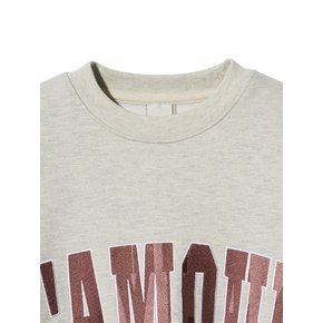 LAMOUR Big Embroidery Stitch Sweatshirt T87 Reddish Oatmeal