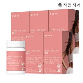 다이어트 체지방 감소엔 칼로컷 900mg x 42정 x 5개