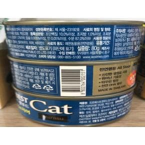 큐밸리 프로베스트 치어 반려묘 사료 80g X ( 4매입 )