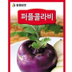  동원 퍼플 콜라비씨앗 500립