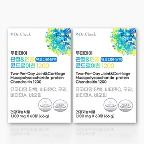 투퍼데이 관절연골 콘드로이친1200 2박스 (2개월분)