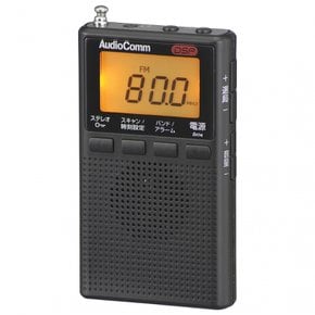 AudioComm DSP FM FM AMFM RAD-P300S-K 03-0978 OHM 오옴 전기 라디오 소형 디지털 포켓 라디오