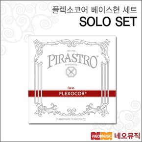 플렉소코어 베이스현세트 String SOLO SET 악기줄