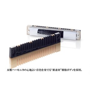 SUZUKI 스즈키 21 홀 복음 하모니카 스즈키 고급 해밍 SU-21 W FNm조