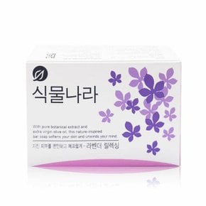 식물나라 비누 100g 라벤더 (WBAFF72)