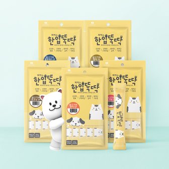 한입뚝딱 고양이 강아지간식  짜먹는 한입뚝딱  츄르 100P 모음 (60gx20P)