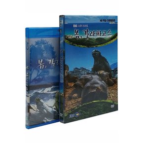 DVD - EBS 봄 갈라파고스 합본 시리즈 DVD+블루레이