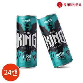 롯데칠성 핫식스 더킹러쉬 355ml x 24캔[31445863]