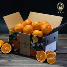 알동네 봄 감귤 카라향 4.5kg 중과(31-41과)