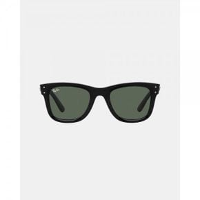 3540977 Ray-Ban 레이밴 0RBR0502S 웨이퍼 역 - 블랙