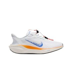 나이키 에어 줌 페가수스 이지온 블루프린트 Nike Air Zoom Pegasus EasyOn Blueprint 270377