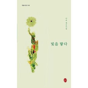 빛을 땋다