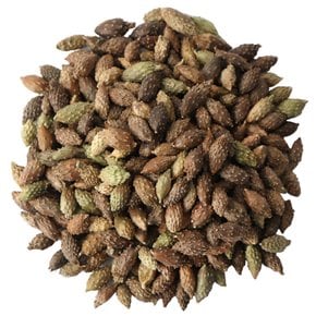 중국산 도꼬마리 창이자 600g