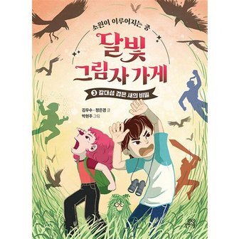  달빛 그림자 가게 3 - 갈대섬 검은 새의 비밀