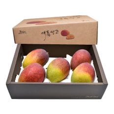 제주 애플망고(왕특대) 3kg(5~6과)