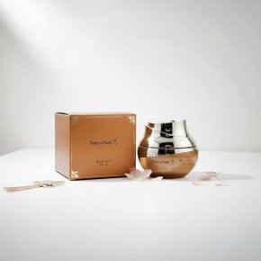 NEW 최신상 수려한 발효 효윤 진 진액 크림50ml