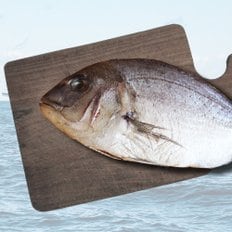 국내산 여수 반건조 생선 참돔 700g내외(1마리)
