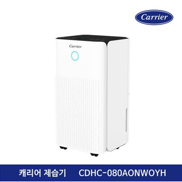 확대된 대표 대표이미지