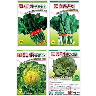 아시아종묘 월동채소 씨앗 4종세트 (아시아동초,월동춘채,춘동102,CR설춘) 20g