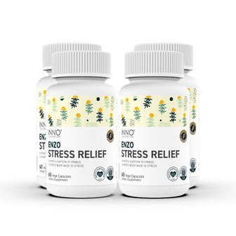  이노헬스앤케어 스트레스릴리프 60캡슐 4개