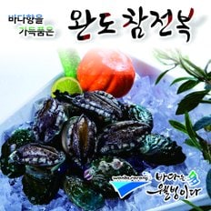 [일반형/가성비최고] 완도사랑 청정활전복*참전복(13~14미)1kg_국내산(양식)