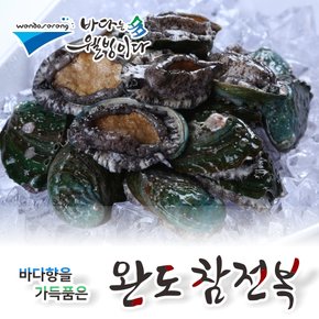 [일반형/가성비최고] 완도사랑 청정활전복*참전복(13~14미)1kg_국내산(양식)