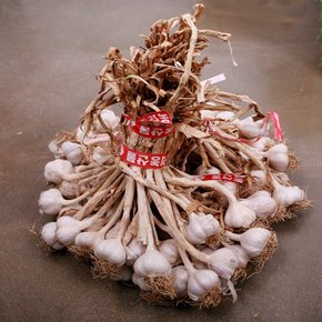 [산지직송] 국내산 토종 의성 마늘(중) 3kg (120-150개내외)