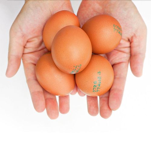상품 이미지 3
