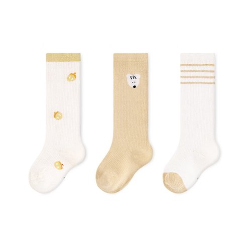 이미지6