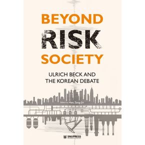 Beyond Risk Society