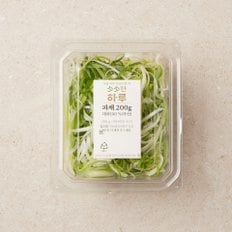 파채 200g