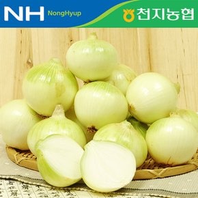 [함평천지농협] 24년산 양파 5kg(대 100g~200g)