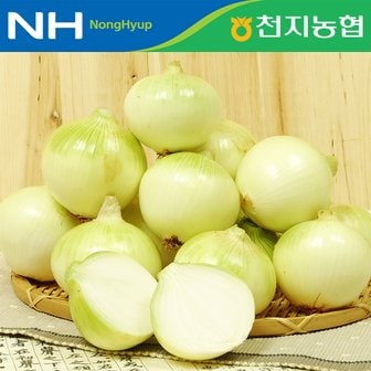 푸르젠 [함평천지농협] 24년산 양파 5kg(대 100g~200g)