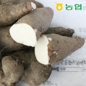 마의 고장 안동의 믿을 수 있는 산약촌 산마(상) 5kg