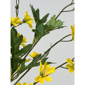 레인시아 가지 조화