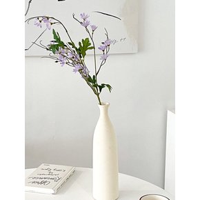 레인시아 가지 조화